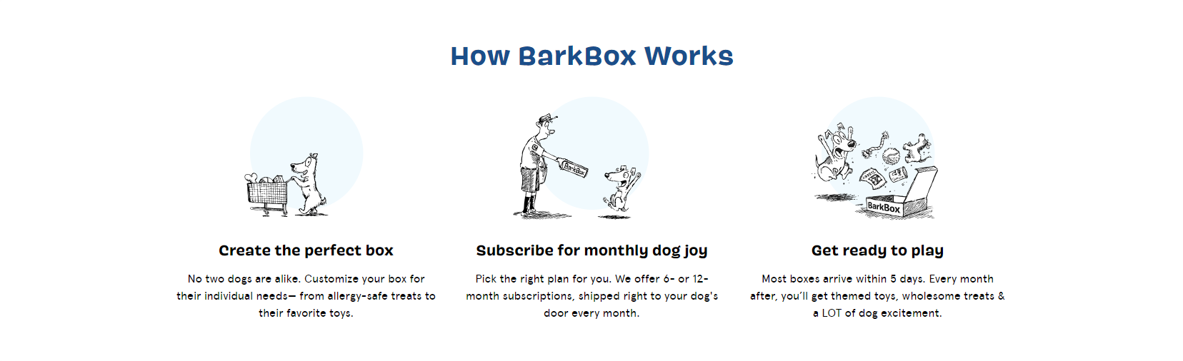 BarkBox-2-Copywriting-Example