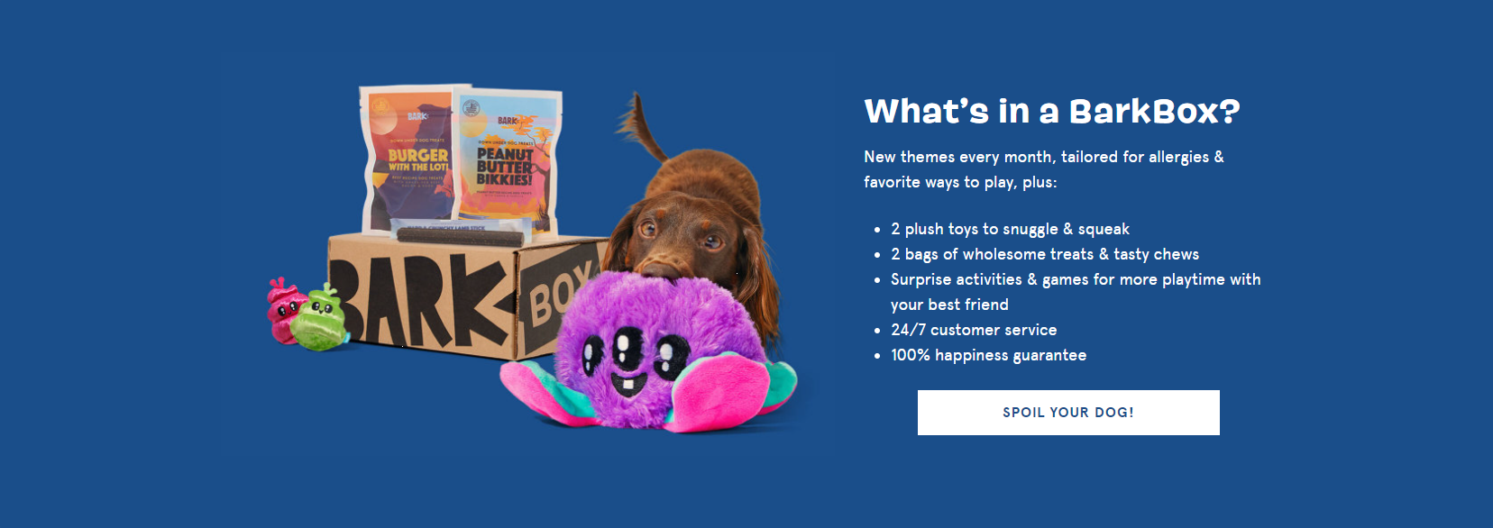 BarkBox-Copywriting-Example